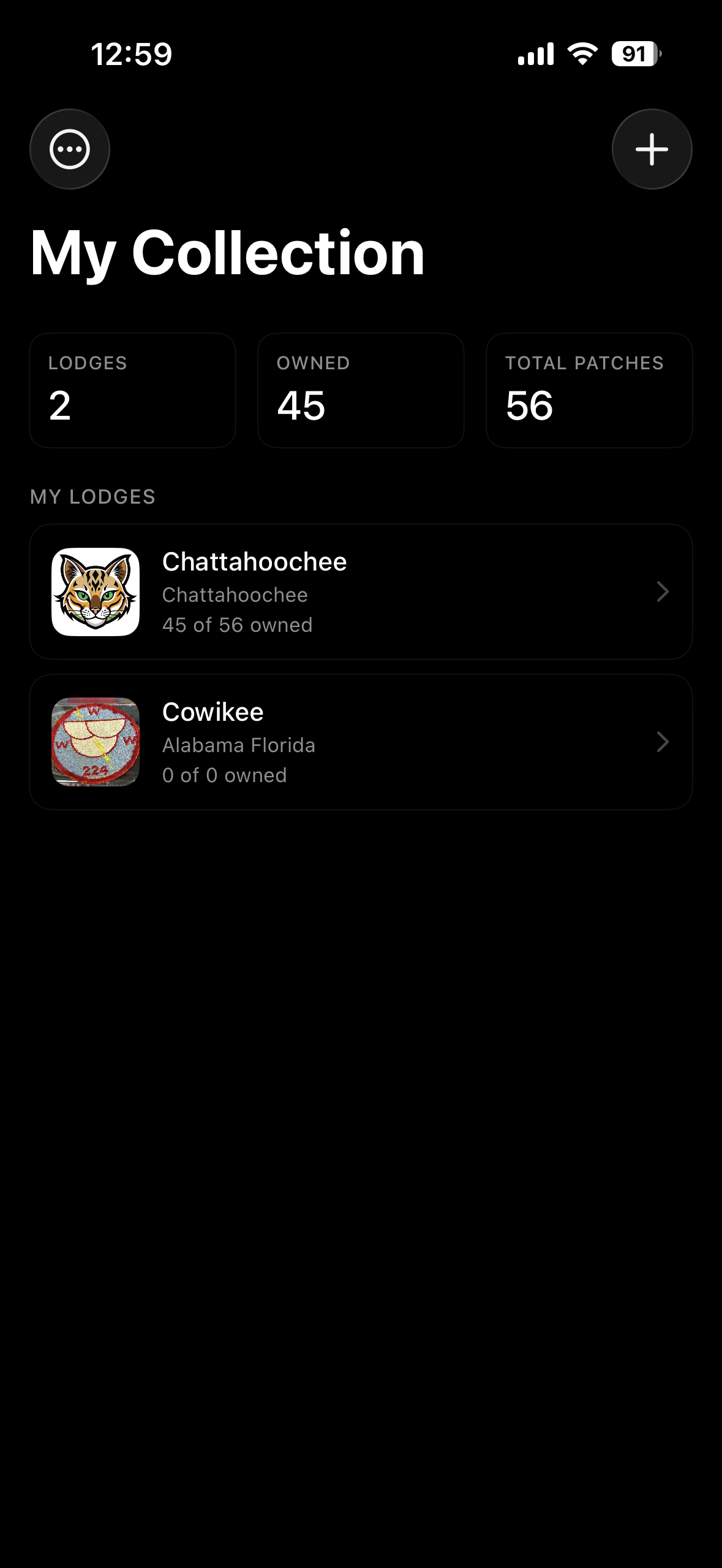 Lodges screen
